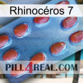 Rhinocéros 7 06